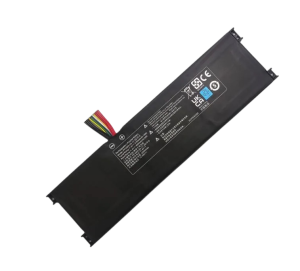 BAT-DNS-65