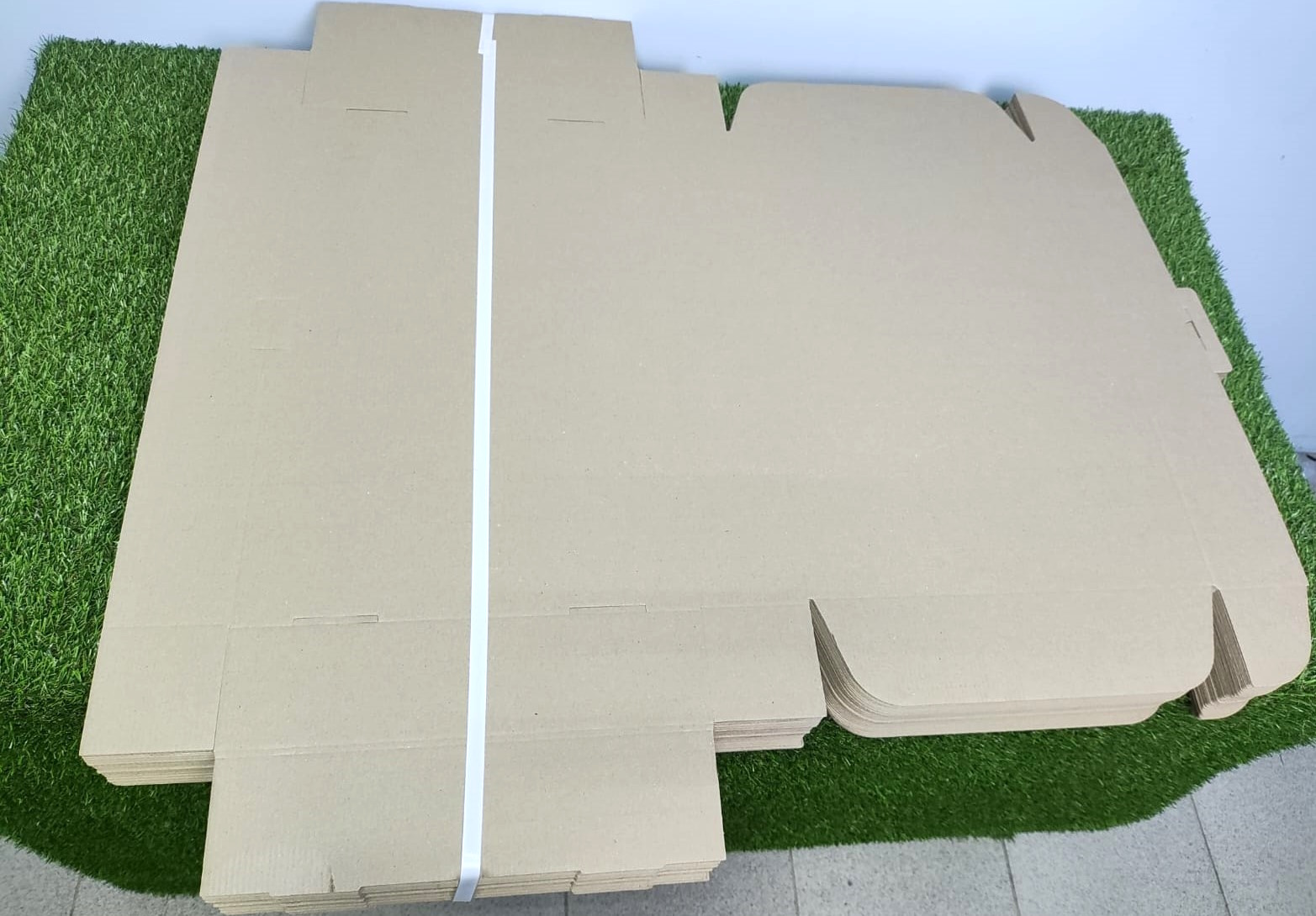 WhatsApp Image 2025-03-17 at 17.06.16